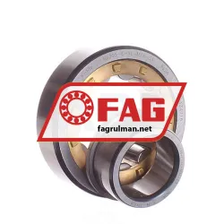 FAG NJ305-E-XL-M1A-C3 rulman resim 2