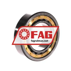 FAG NJ2210-E-XL-M1-C3