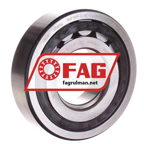 FAG NUP309-E-XL-TVP2-C3