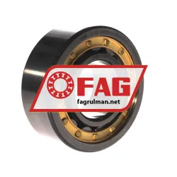 FAG NJ2310-E-M1A-F59-C3