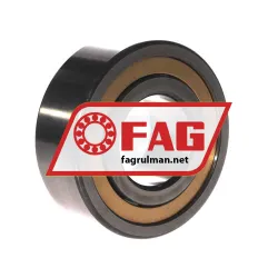 FAG NJ2310-E-M1A-F59-C3 rulman resim 2