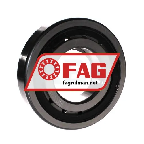 FAG NUP317-E-TVP2 ürün fotoğrafı 2
