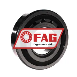 FAG NUP317-E-TVP2