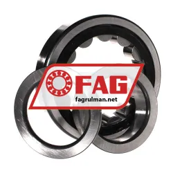 FAG NUP317-E-TVP2 rulman resim 3