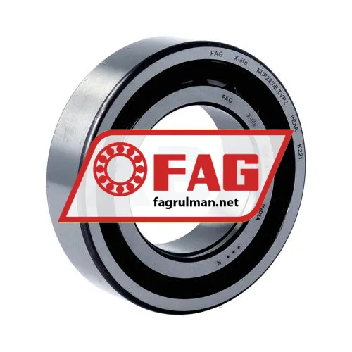 FAG NUP2210E-TVP2