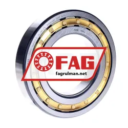 FAG NUP217-E-XL-M1-C3