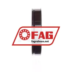 FAG NUP213-E-XL-N-M1-C3 rulman resim 4