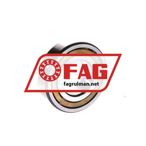 FAG NUP206-E-XL-M1