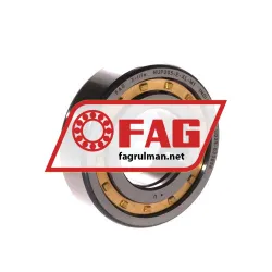 FAG NUP205-E-XL-M1