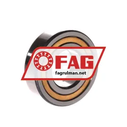 FAG NUP205-E-XL-M1 rulman resim 2