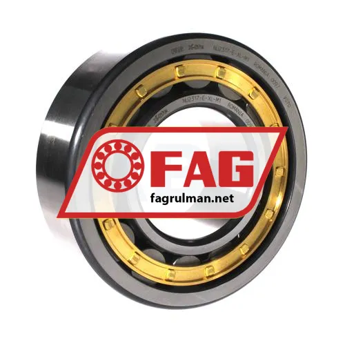 FAG NU2317-E-XL-M1