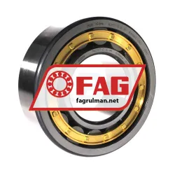FAG NU2317-E-XL-M1