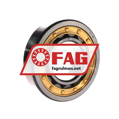 FAG NJ313-E-XL-M1A-C4