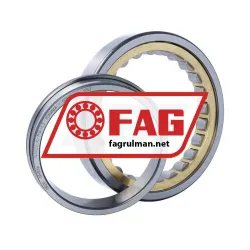 FAG NJ1022-XL-M1A-C3 rulman resim 3