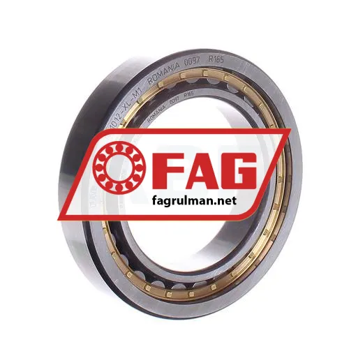 FAG NJ1012-XL-M1