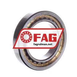 FAG NJ1012-XL-M1