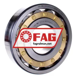 FAG N415-XL-M1-C3
