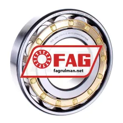 FAG N320-E-XL-M1-C3