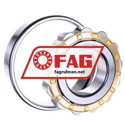 FAG N320-E-XL-M1-C3 rulman resim 2