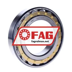 FAG N216-E-XL-M1