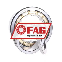 FAG NUP2320-E-XL-M1-C3 rulman resim 2