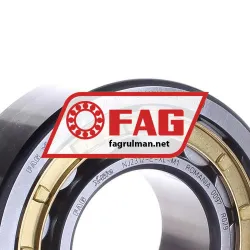 FAG NJ2312-E-XL-M1-C3 rulman resim 2