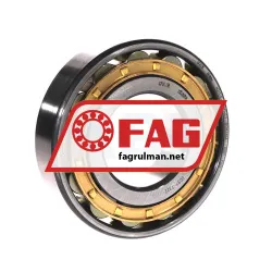 FAG N311-E-XL-M1-C3