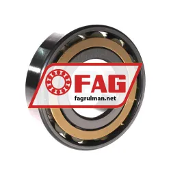 FAG N311-E-XL-M1-C3 rulman resim 2