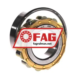 FAG N311-E-XL-M1-C3 rulman resim 3
