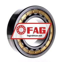 FAG NJ2222-E-XL-M1