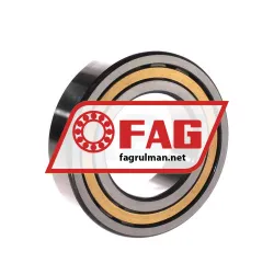 FAG NJ2211-E-XL-M1 rulman resim 2