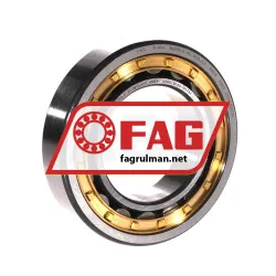 FAG NJ210-E-XL-M1A-C3