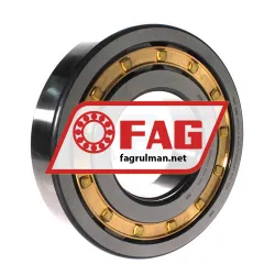 FAG NUP320-E-XL-M1-C3