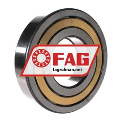 FAG NUP320-E-XL-M1-C3 rulman resim 2