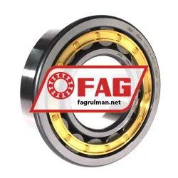 FAG NJ317-E-XL-M1-C4