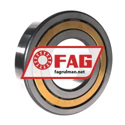 FAG NJ317-E-XL-M1-C4 rulman resim 2