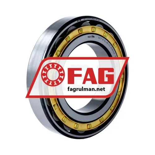 FAG N217-E-XL-M1-C3