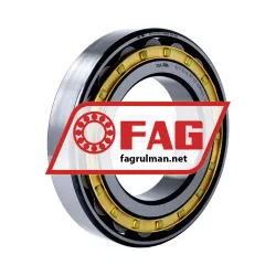 FAG N217-E-XL-M1-C3
