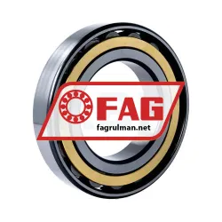 FAG N217-E-XL-M1-C3 rulman resim 2