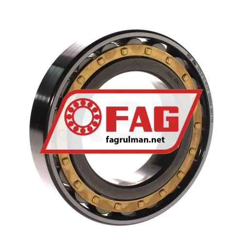 FAG N215-E-XL-M1-C3