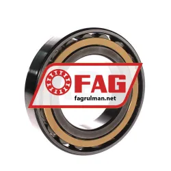 FAG N215-E-XL-M1-C3 rulman resim 2