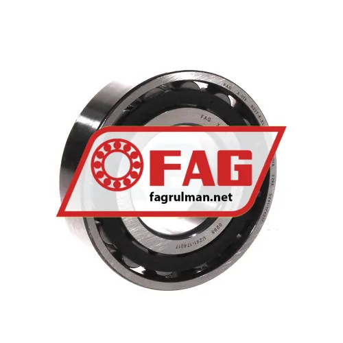 FAG N207-E-XL-TVP2-C3