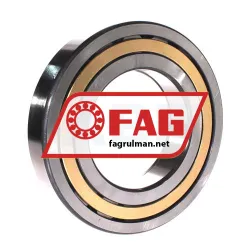 FAG NUP221-E-XL-M1 rulman resim 2