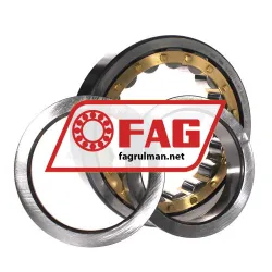 FAG NUP221-E-XL-M1 rulman resim 3
