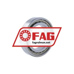 FAG N1011-D-K-PVPA1-SP-XL-R10-20