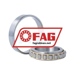 FAG N1011-D-K-PVPA1-SP-XL-R10-20 rulman resim 2