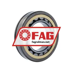 FAG NU219-E-XL-N-MPAX-F59-C3