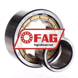 FAG NU2309-E-XL-M1 rulman resim 2