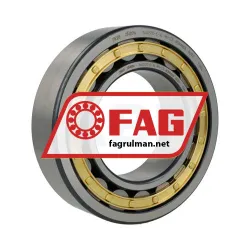 FAG NJ2220-E-XL-M1-C3