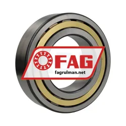 FAG NJ2220-E-XL-M1-C3 rulman resim 2